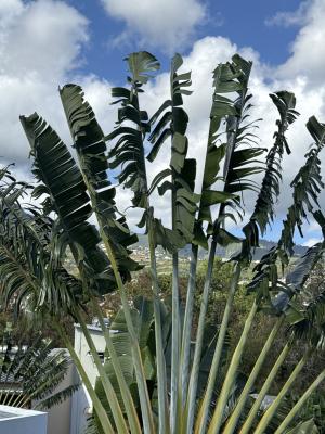 083A265D AD1D 461B BD31 24F43A65BDD4