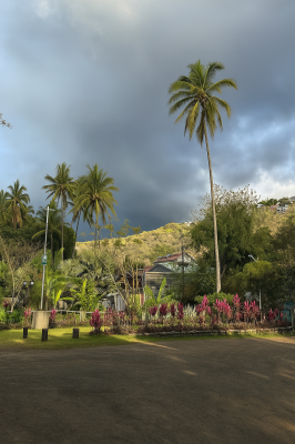 28CE4EB1 252F 46FC B83A 8B611CDC15E3