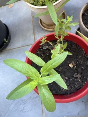 714D7775 C4AE 42FC ADF2 3AA1E8ECDF6C