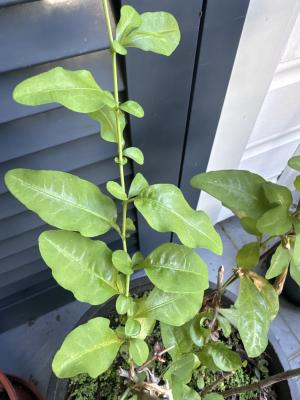 7C71B3F3 972F 4197 BC90 0067F07263B9