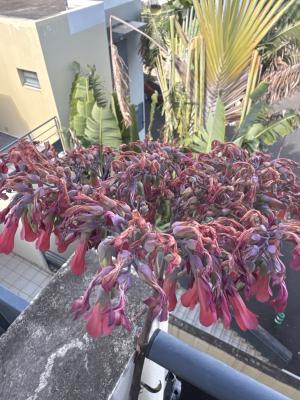 ECD0B91D 11FD 4B68 80F0 9457E9BC31B6